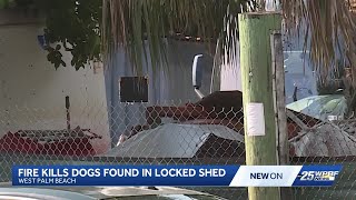 Fire in West Palm Beach kills four dogs who had been locked in a shed