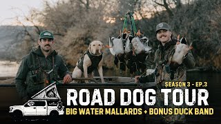 EPIC River Hunting for Mallards & BONUS BAND!! | RDT S3 Ep.3