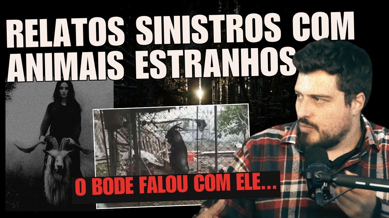 Relatos Sinistros 😨 Animais com Comportamentos Sobrenaturais 🕯️ Mistérios do Brasil  | Sem Tempo
