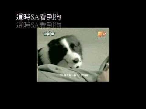 Twins 我很想愛他  自創 圖片+音樂