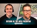 Bitcoin As The Apex Predator | Robert Breedlove | Pomp Podcast #502