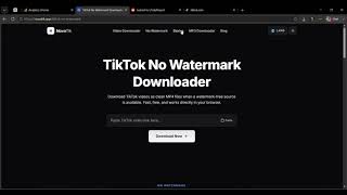 What makes the best TikTok video downloader? Novatik screenshot 3