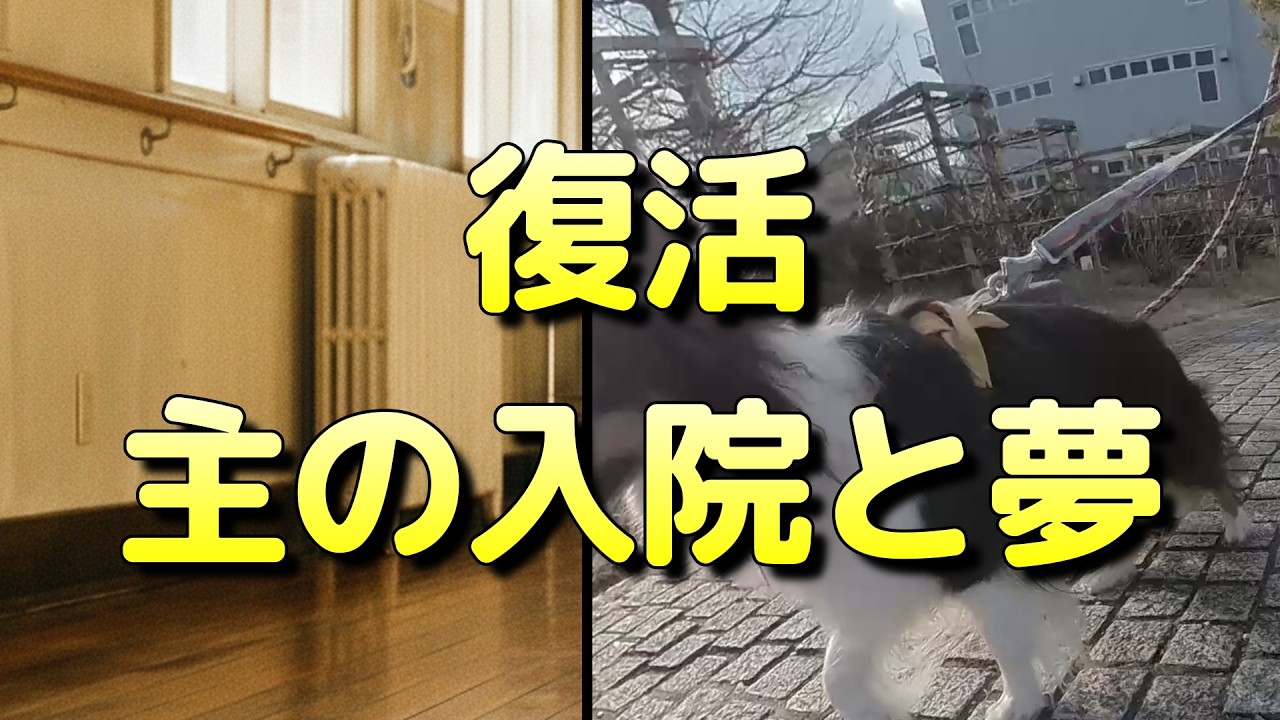 3カ月ぶりの散歩。入院中に見た、あの夢。