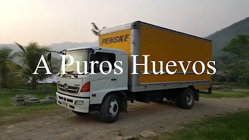 ¿Por qué lavan los huevos los granjeros?