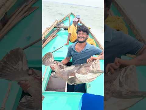 #fish #Fisherman #🌊🌫️ #beachfishing #fishing #fishingmethods #fishingtechniques #fishing #fishing