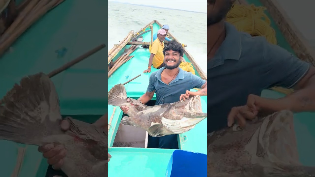 #fish #Fisherman #🌊🌫️ #beachfishing #fishing #fishingmethods #fishingtechniques #fishing #fishing