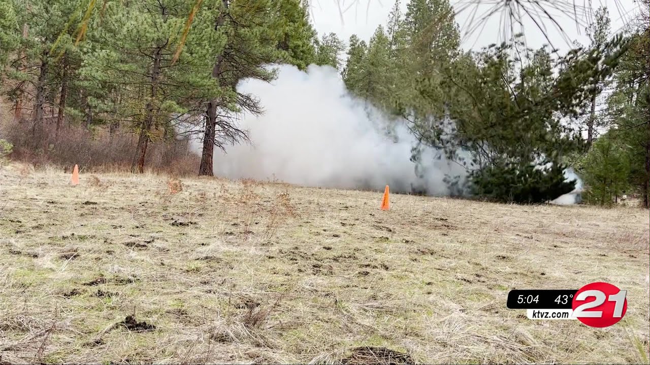 Forest Service blasts tree to remove it from popular hiking trail.
