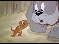 Tom And Jerry Cartoon Episode 15 The Bodyguard 1944 Funny Animals Cartoons For Kids
