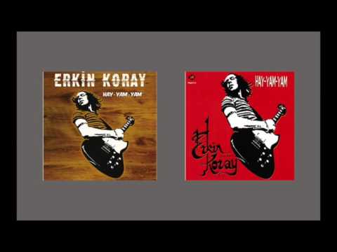 Erkin Koray - Hayat Katarı (Audio)