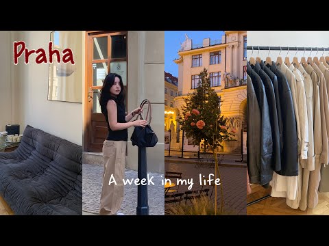 🇨🇿 VLOG 낭만 그 자체 프라하여행✨ 맛집과 쇼룸, 체스키크롬로프까지!