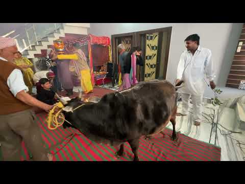 नए घर का गृह प्रवेश ( Mr.Vishal )