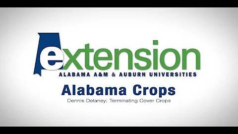 Dennis Delaney - Terminating Cover Crops