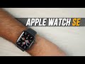 Apple Watch SE: Makes A Lot of Sense!