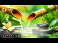 🔴 Relaxing Zen Music 24/7, Healing Frequency Music, Stress Relief Music, Zen Meditation, Bird Sounds