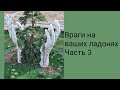 Враги на ваших ладонях. Часть 3