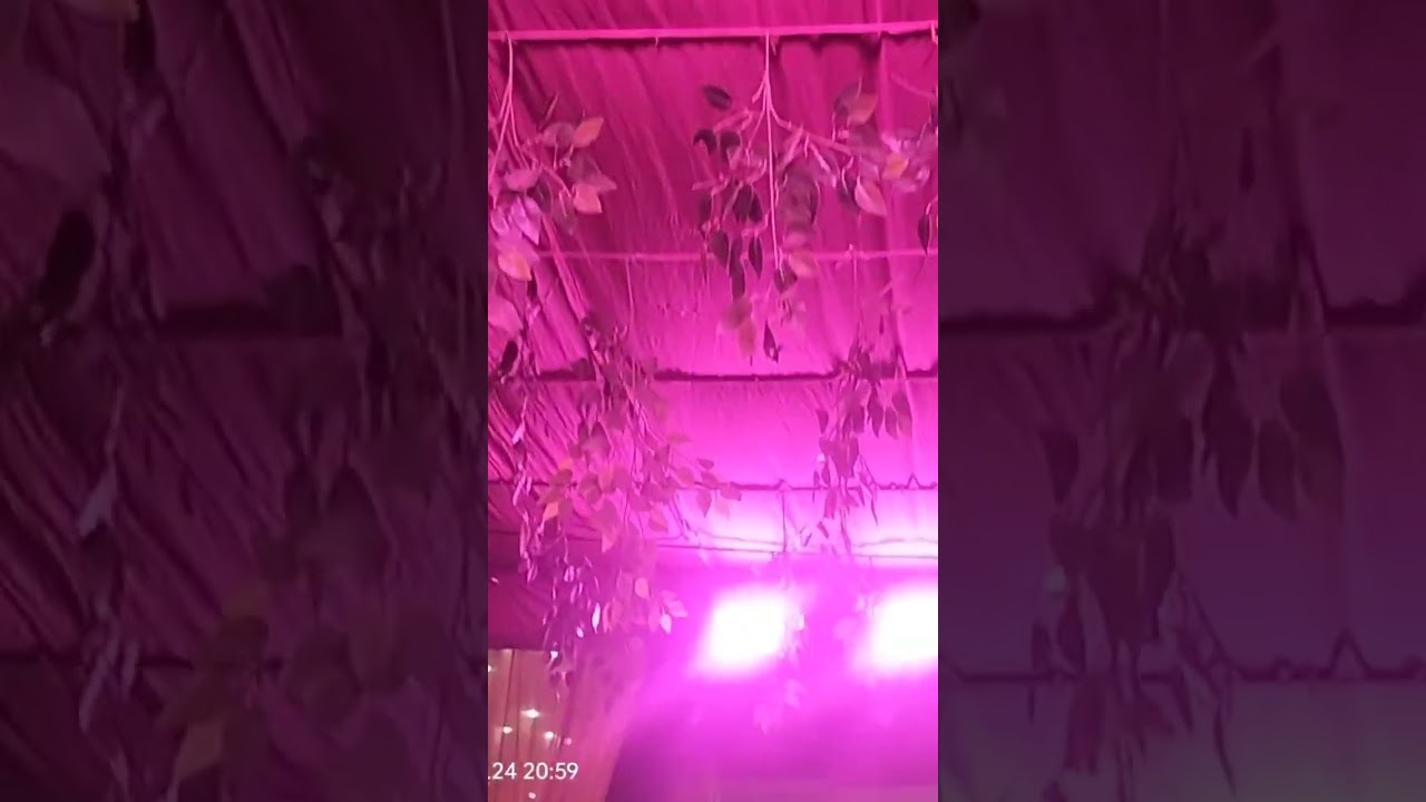 Today wedding shoot in Bedi marriage lawn Bareilly @24-02-2023@$$