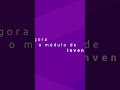 Ingite | Inventory - Inventário de Hardware e Software
