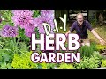 DIY Easy Herb Garden for Beginners 🌱 🌱 🌱