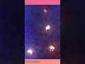 FISH SPA#song #ytshorts #ttendingshort