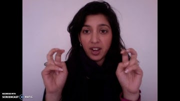 Week 4 Instructor Video (cat included)