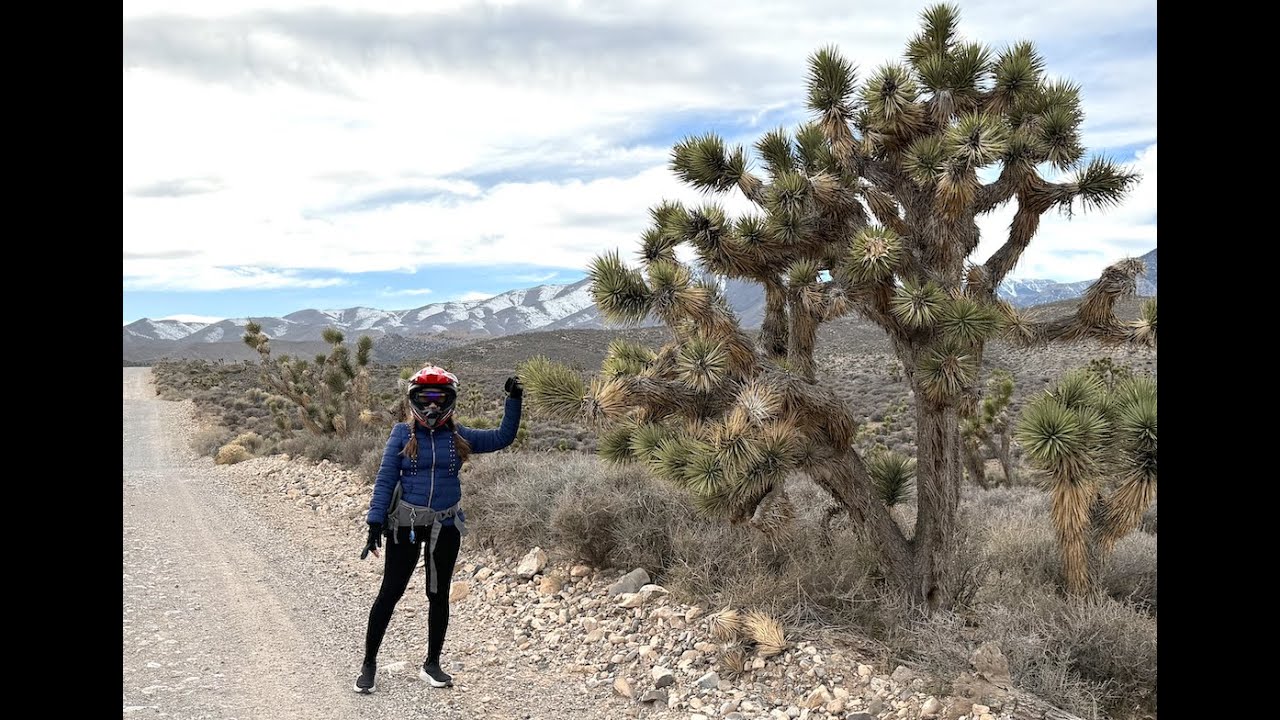Harris Springs Road, Mt Charleston Wilderness Nevada