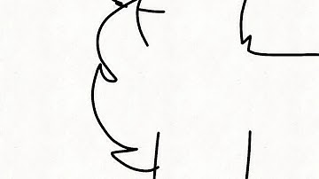 Two birds map part 9