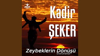 Şu Köyceğiz Yolları