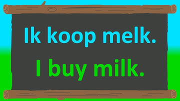 Learn 400+ Basic Dutch Phrases for Daily Conversations!