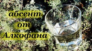 Рецепт абсента от Алкофана с можжевельником и бархатцами