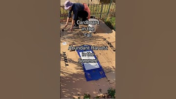 Sheet-mulching with cardboard is the secret to my no dig garden success.
