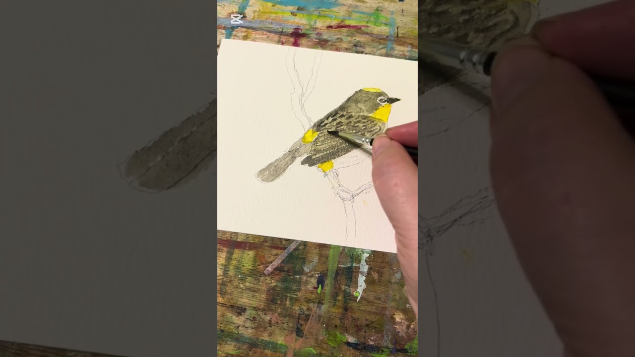 Full length not sped up painting warbler 