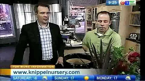Knipple Nursery 2