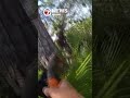 MDSO releases video of deputy shooting double-homicide suspect in Miami Gardens