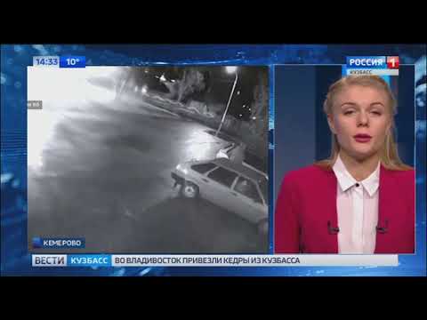Биография дарьи швыдкой корреспондента