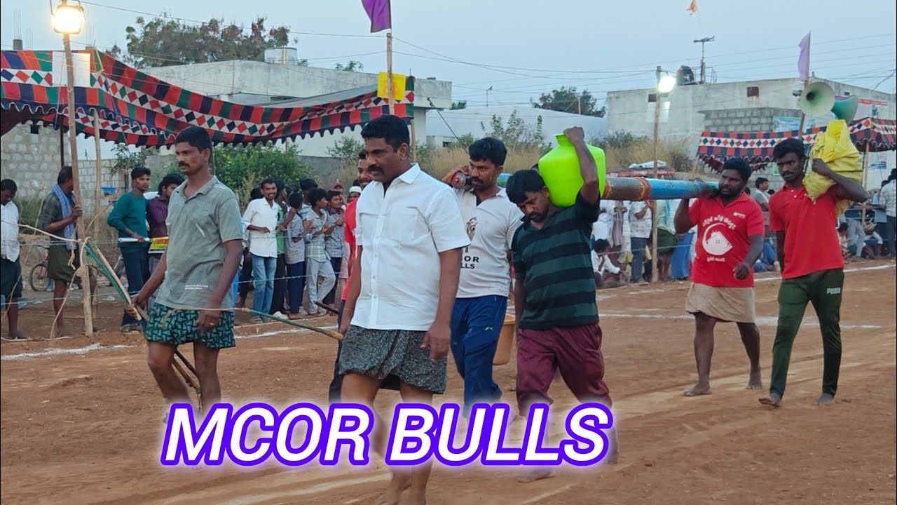చింత్రియాల సీనియర్స్ 4వ MCOR BULLS (మచ్చలపులి 💥 కారంజేయా ) 
