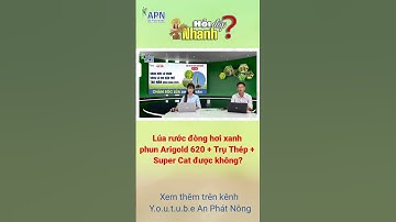 APN - Lúa rước đòng hơi xanh phun Arigold 620 + Trụ Thép cải tiến + Super Cat được không? #short