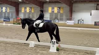 USEF USDF 2nd level test 3 Region 4 championships 64.286 dressage