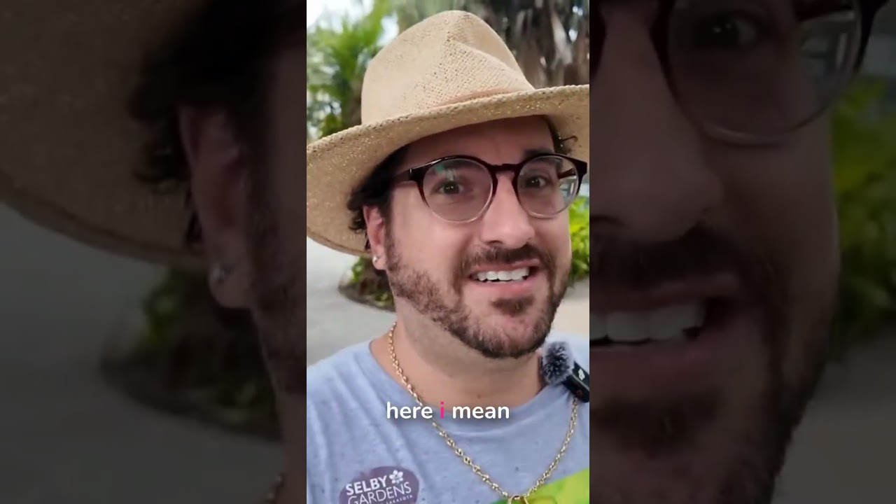 Elephant Ears & Garden Inspiration at Selby!