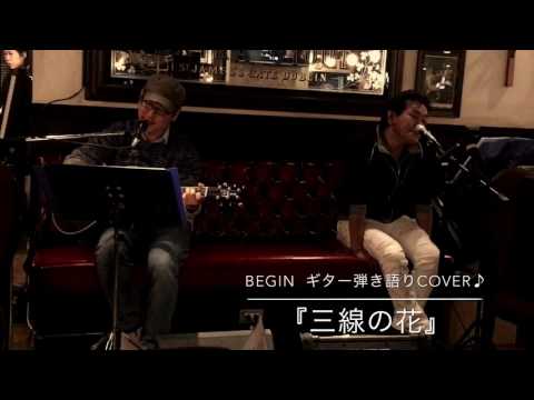 三線の花／BEGIN  ギター弾き語りcover♪
