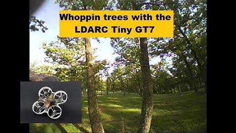Tiny Whoppin trees with the LDARC GT7