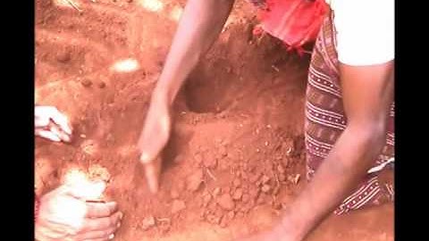 Soil sampling procedure Oriya Pragati Odisha