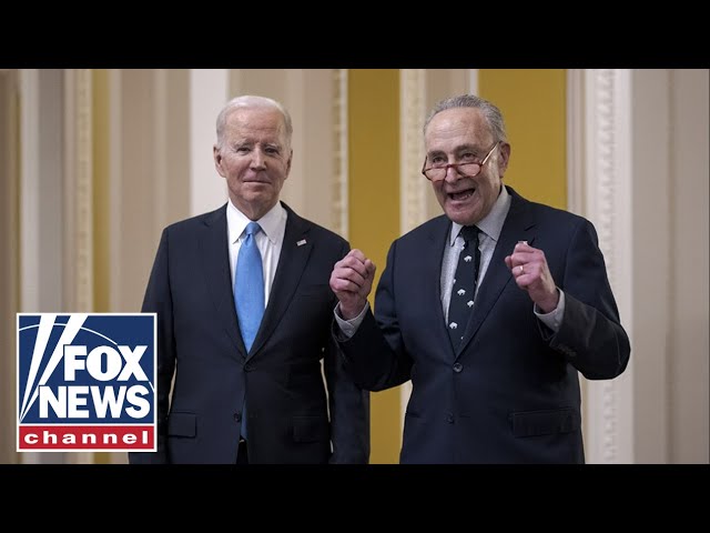 Expert Blasts Schumer For Sharp Comments Against Netanyahu He Should Be Ashamed