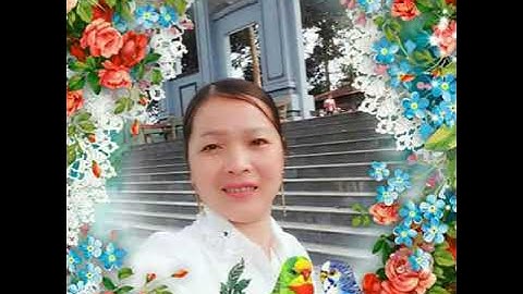 phim người Dao đường hồng bắc mê