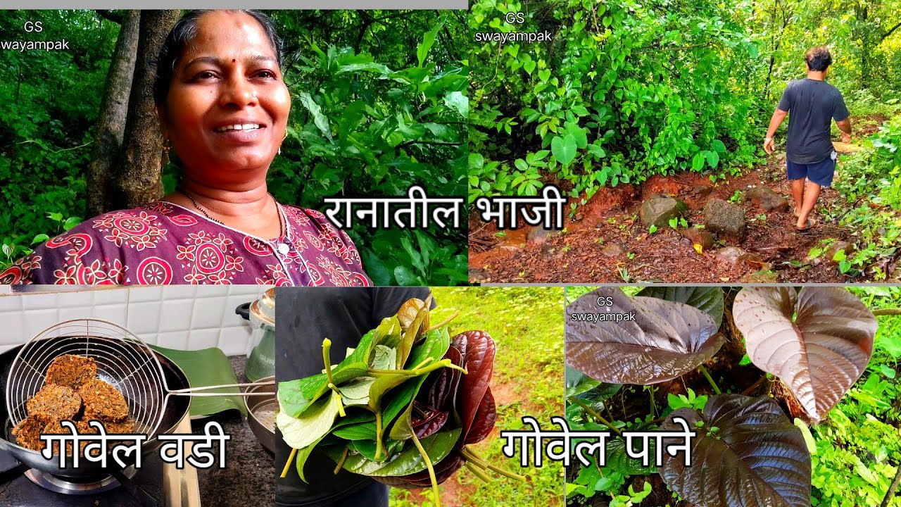 रानात जाऊन आणली वड्यांची पाने,गोवेल पानांची वडी,रान सफारी 🛖🌳#priyapawar #villagelife