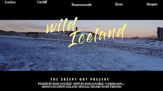 DJI MINI 2 4K footage Cinematic 🇮🇸  -Wild Iceland . Jose Franco.