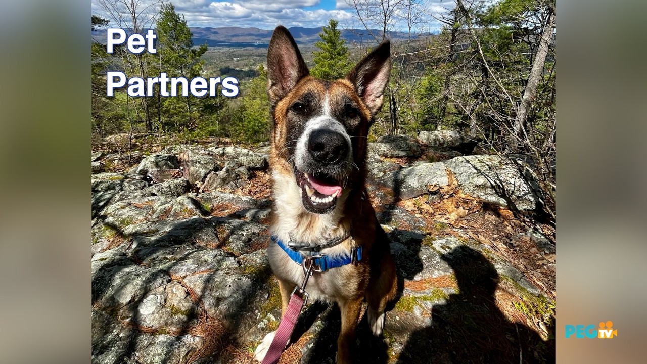 See the latest pets up for adoption at Rutland County Humane Society. Stephanie Wilson hosts this long running program on PEGTV. Video footage provided by Andrew Wilson.