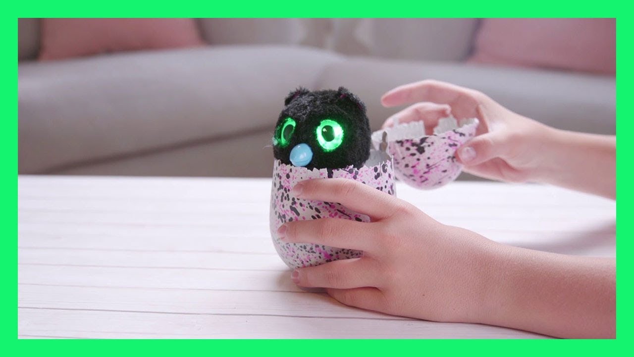 Hatchimals - Bearakeet | Official TV Commercial