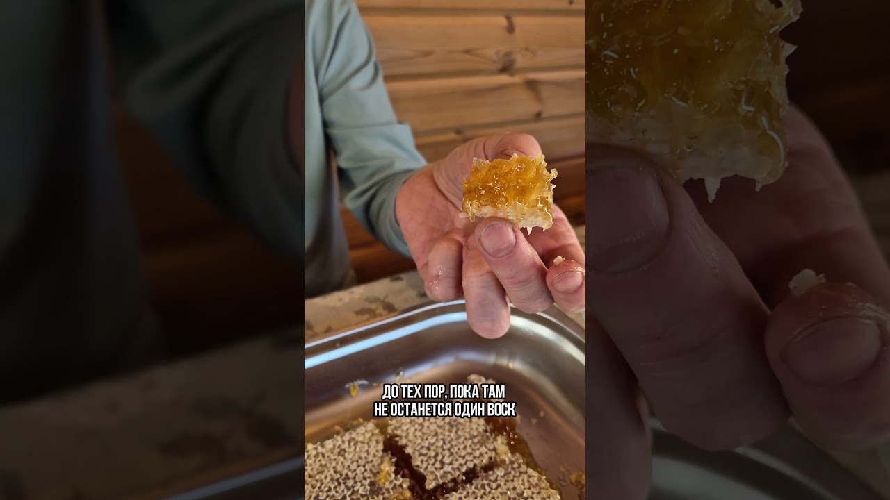 КАК КУШАТЬ СОТОВЫЙ МЁД!