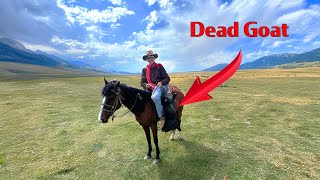 The MOST DANGEROUS sport in the world?  Watching Kok Boru with nomads in Kyrgyzstan