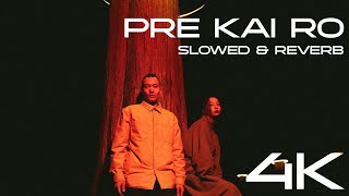 Pre kai ro - 1 (slowed & reverb) (Unofficial Music Video)